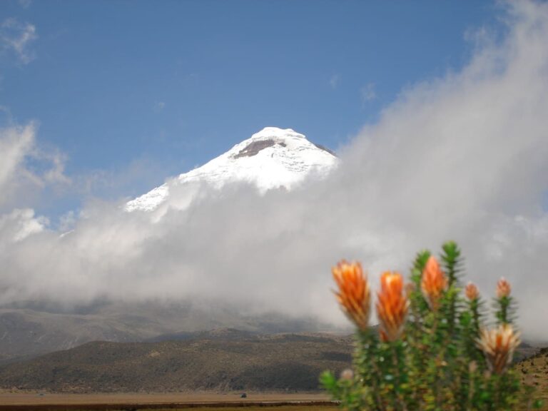 best views of the Cotopaxi national park